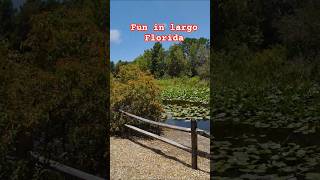 fun day in largo Florida. very peaceful