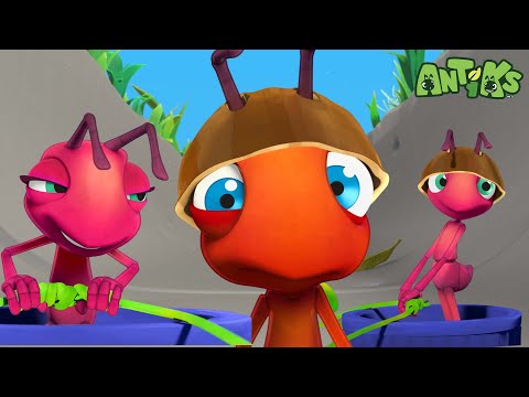 Speed Racers | Funny Cartoons | Kids Videos | Antiks 🐜🌿