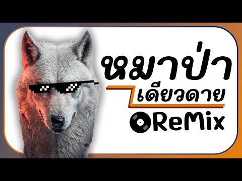 ⭐มาแรงTikTok!! ( หมาป่าเดียวดาย - พลอยชมพู Cover ) Ver. ReMix BY [ ดีเจกิต รีมิกซ์ ]
