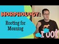 Exploring Roots and Affixes in Language