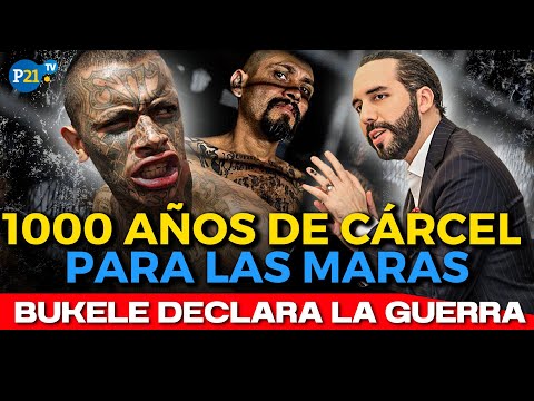 BUKELE enfurece y CONDENA a 1000 AÑOS de CÁRCEL a pandilleros de MARAS SALVATRUCHA