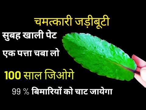 1 पत्ता खालो 100 साल तक कोलेस्ट्रॉल,शुगर,मोटापा,आखें,पेट के रोग और दिल के रोग नही होगे वात पित्त कफ