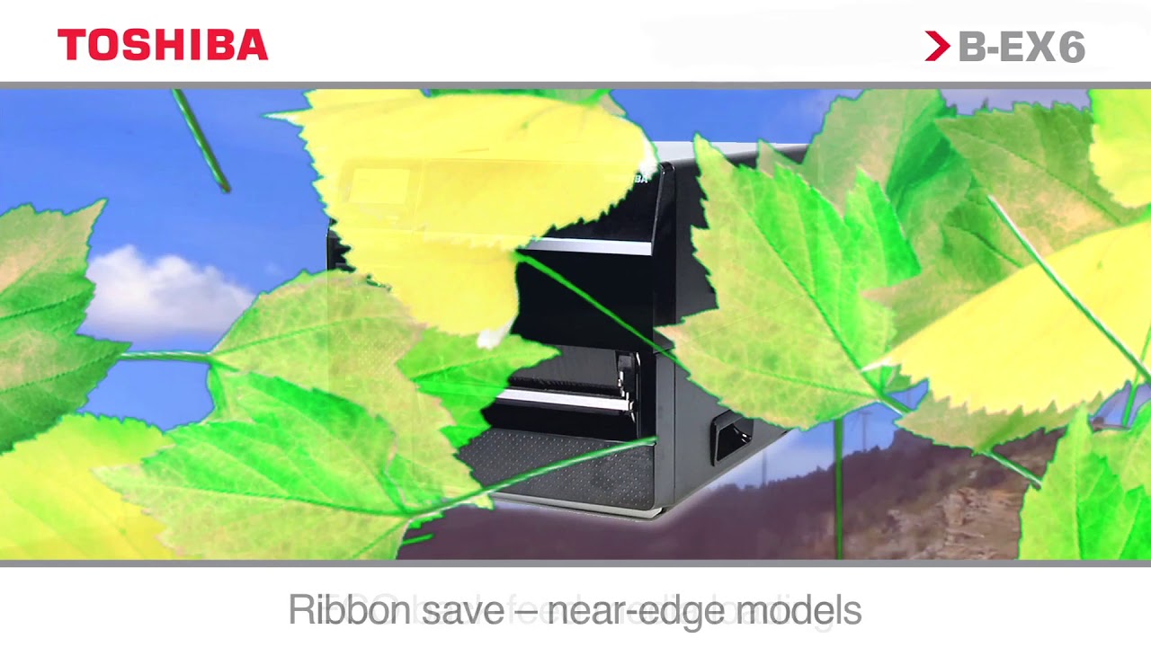 Video: TOSHIBA B-EX6T1