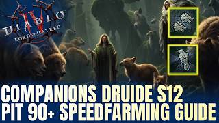 EASY Pit 90+ Speedfarming mit Companions Druide in Season 12! | Diablo IV Guide