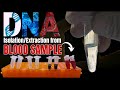 DNA Extraction Process and Techniques