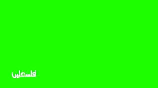 Palestine TV | Logo With Promo Template