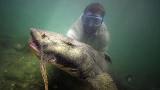 I Bought a Real Life River Monster!