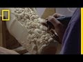 Ivory Trade and Its Impact