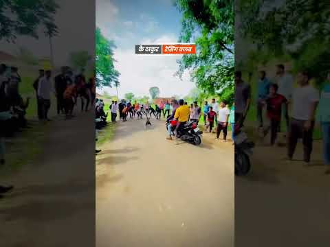 GREYHOUND RACE KOLHAPUR | 🔥 क्ष्वानाच नाव कमेंट करा ||श्वान शर्यत || महाराष्ट्र राज्य श्वान शर्यत ॥