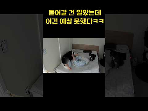 몰래 보다가 소리 지를 뻔 ㅋㅋㅋ