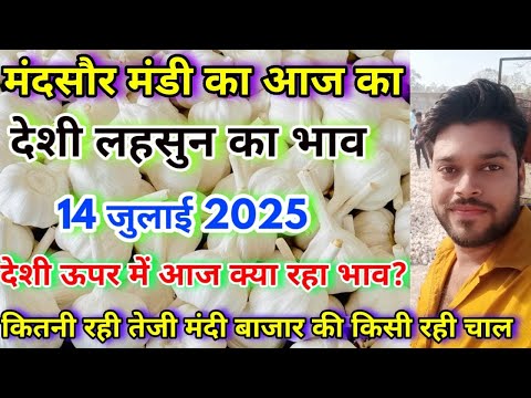 मंदसौर मंडी का आज का लहसुन का भाव | Today Garlic Rate Mandsaur Mandi | Lahsun Ka Bhav