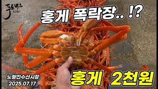 타이탄 홍게  낙찰가가 2천원?!  이게 가능한게 노량진이네요 ~ 안좋은 날씨 이번주는 뭐가 좋을까요? 202507017
