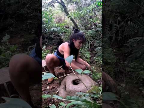 BUSHCRAFT stove PRIMITIVE 🔥#bushcraft #asmr #survival #solocamping #cooking #braziliangirladventures