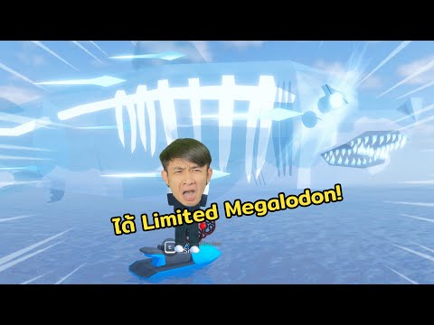 ตกได้ Phantom Megalodon Limited!! สุดโหด!! Roblox Fisch