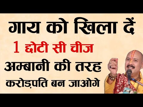 गाय को खिला दें ये 1 छोटी सी चीज 24 घंटे के अन्दर होगी हर इच्छा पूरी #cow #गाय #pradeepmishra