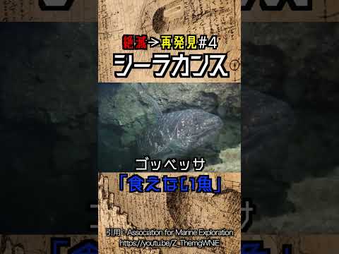 【絶滅してなかったシリーズ】シーラカンス #動物 #雑学
