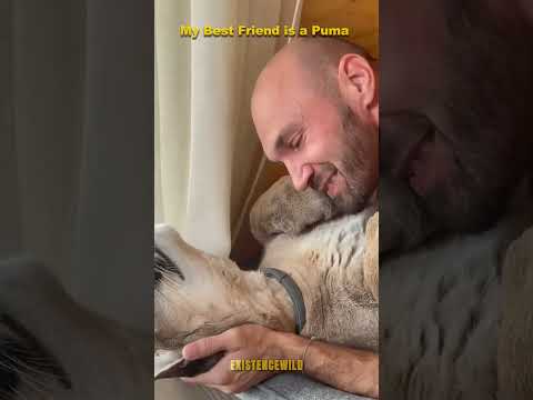 My Best Friend @Iampuma