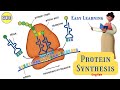 Protein Synthesis and RNA Functions