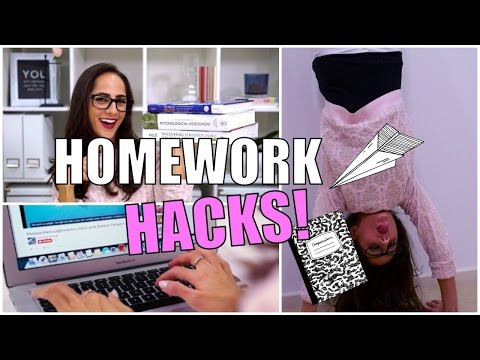 Double homework читы