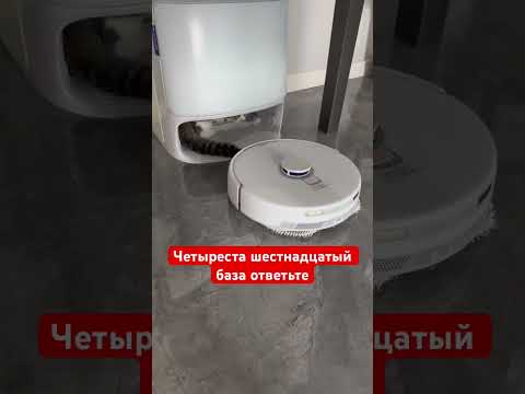 Четыреста шестнадцатый база ответьте #cat #робот #пылесос