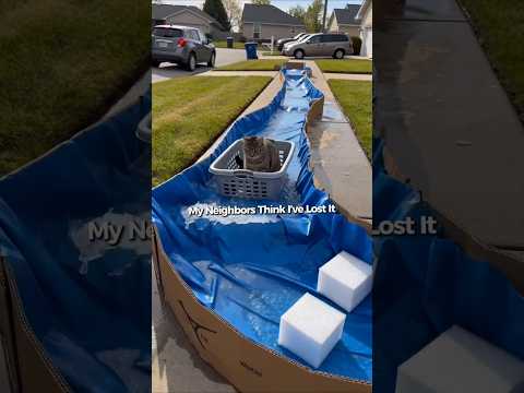 My Cats Got a Front Yard Lazy River… and My Neighbors Have Questions😂 #cat #pets #Cats #cute #funny