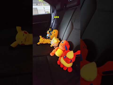 SETIAP KALI PERGI NAIK MOBIL ISTRI!