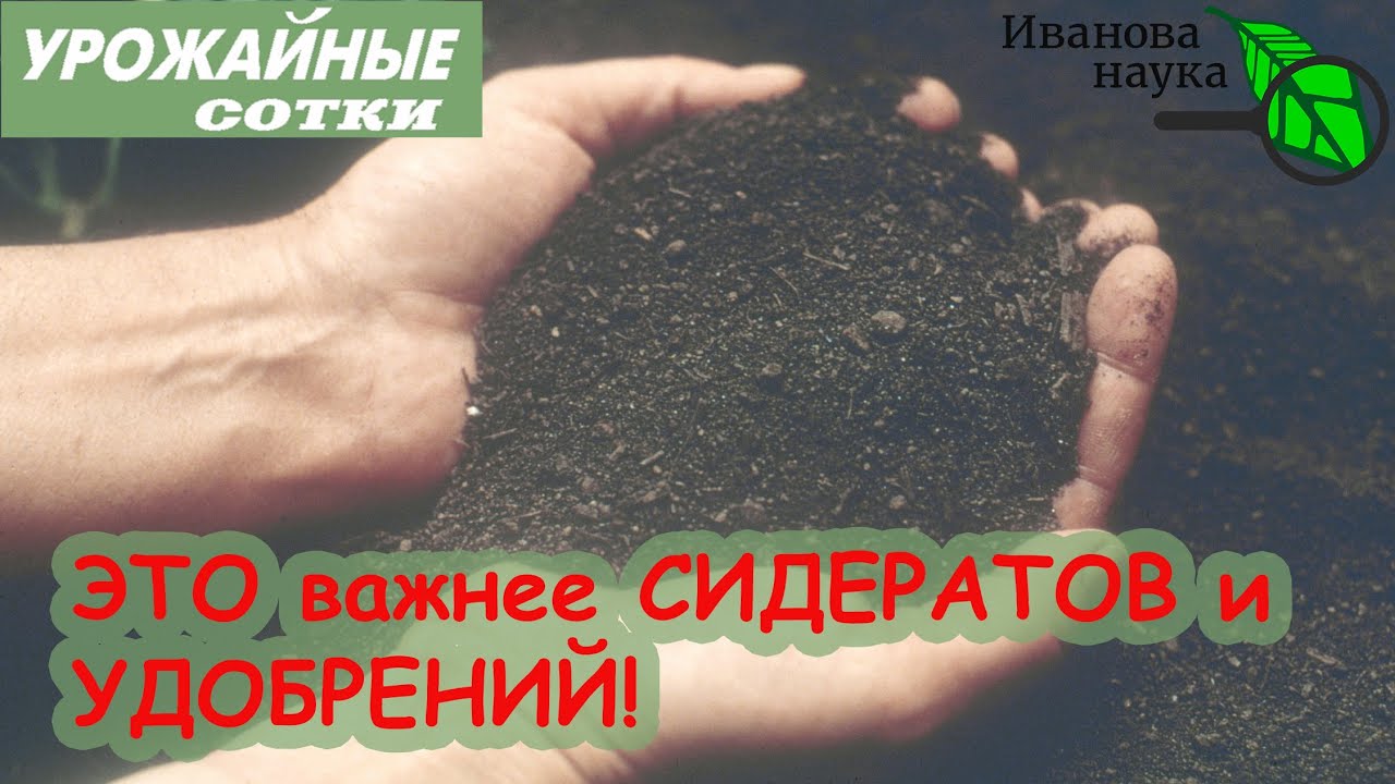 После сбора урожая. Восстанавливаем баланс и плодородие почвы правильно!