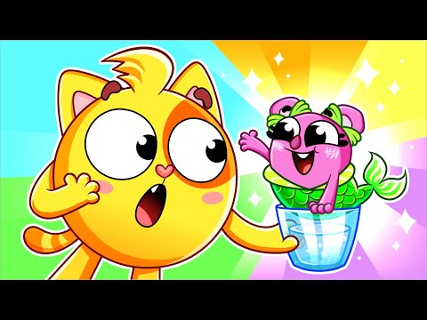 Mermaid Koala and the Great Toy Mission!🧜‍♀️🙀 Kids Songs 😻🐨🐰🦁 And Nursery Rhymes by Baby Zoo