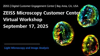 ZEISS Microscopy Customer Center | Virtual Workshop | Day 2 of 2 | September 17, 2025