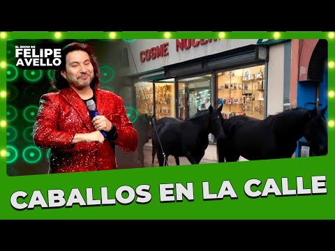 ''CABALLOS EN LA CALLE'' - Felipe Avello en vivo desde Punta Arenas 2025