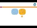 Entropy and Its Effects in Reactions
