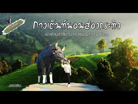 จุดสกัดเขาสูงเขตห้ามล่าสัตว์ป่าเขาแผงม้าวังน้ำเขียวกางเต็นท์ ไปกัน จุดสกัดเขาสูงเขตห้ามล่าสัตว์ป่าเขาแผงม้าวังน้ำเขียวกางเต็นท์