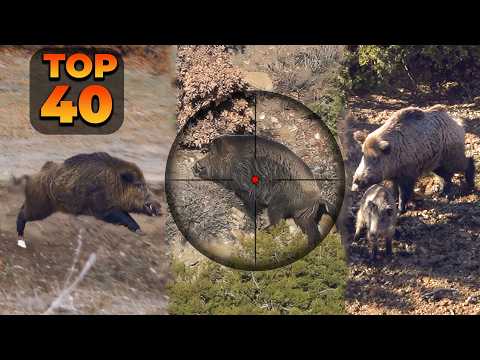 GIANT BOAR INVASION: 40 Incredible Hunts In 15 Minutes! (TOP RIFLE SHOTS) #hunting #wildlife