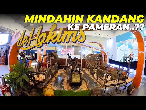 GREGETTT..! CUMA 1 HARI MINDAHIN KANDANG DEHAKIMS KE PAMERAN..!!