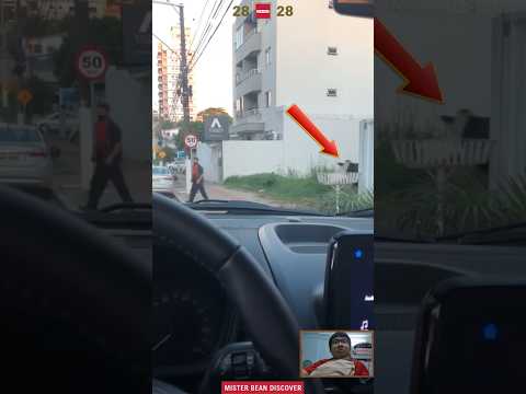 Terrifying Road Encounters 1 #shorts