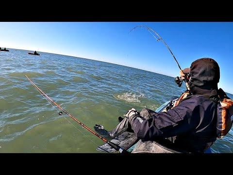 MUCHOS PIQUES Y UNA PESCA QUE INCLUYO LA ESPECIE MÁS FINA DE NUESTRO MAR
