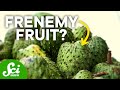 Soursop and Its Effects on Health