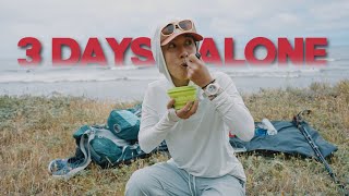캘리포니아의 가장 거친 해안에서 혼자 3일 보내기 | 미국 캘리포니아 로스트 코스트