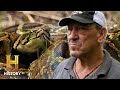 Hunting Pythons in Sinkholes