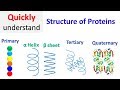 Protein Structure and Bonding Concepts