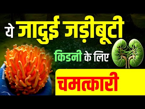 ☘️ये जादुई जड़ीबूटी किडनी के लिए चमत्कारी✨| Ayurvedic Medicine for Kidney | Karma Ayurveda | #kidney