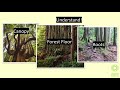 Environmental Awareness and Ecosystem Understanding