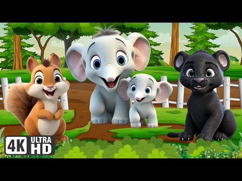 Funny Animal Sounds: Panther, Elephant, Squirrel, Rhinoceros - Cute Moments