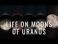 Exploring Uranus and Its Moons
