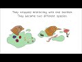 Finch Adaptations and Speciation Concepts