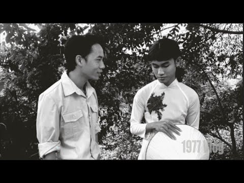 1977 VLOG - SONATE TÌNH YÊU - OFFICIAL MV (THU ÂM TRƯỚC 1977)