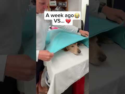 Pray for him in the comments 💔😭