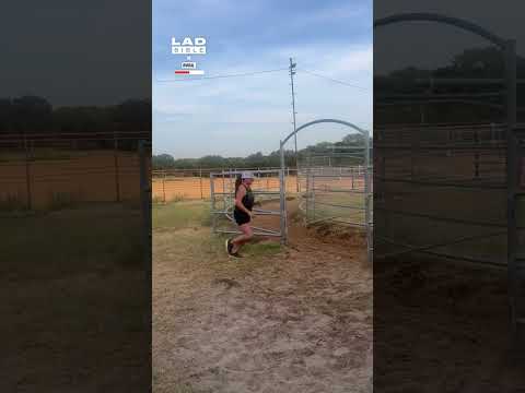 Girl tries to outrun a horse walker on full speed 😬🤣 (🎥: BViral)