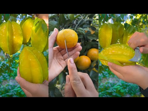 Amazing very beautiful farm fresh fruit cutting skills