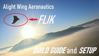 Alight Wing Aeronautics Flik Build and Basic Setup